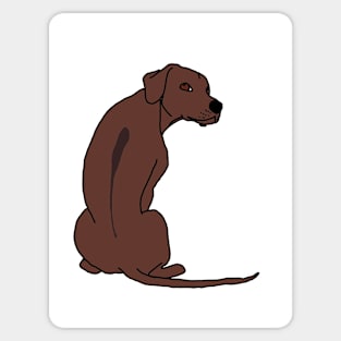 Rhodesian Ridgeback Sticker